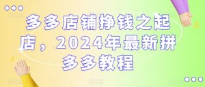 多多店铺挣钱之起店，2024年最新拼多多教程-大东资源库