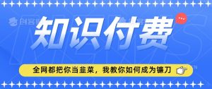 2024最新知识付费项目，小白也能轻松入局，全网都在教你做项目，我教你做镰刀【揭秘】-大东资源库