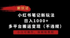 小红书笔记新玩法，日入1000+，多平台搬运变现（不违规），小白可操作，保姆级教程【揭秘】-大东资源库