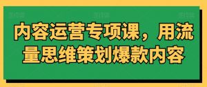 内容运营专项课，用流量思维策划爆款内容-大东资源库