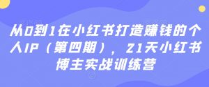 从0到1在小红书打造赚钱的个人IP（第四期），21天小红书博主实战训练营-大东资源库