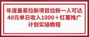 年度最豪拉新项目拉新一人可达40元单日收入1000＋红薯推广计划实操教程【揭秘】-大东资源库