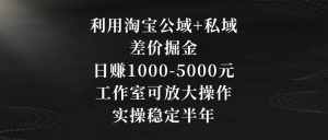 利用淘宝公域+私域差价掘金，日赚1000-5000元，工作室可放大操作，实操稳定半年【揭秘】-大东资源库