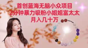 首创蓝海无脑小众项目，2分钟暴力吸粉小姐姐富太太，月入几十万【揭秘】-大东资源库