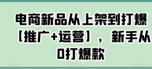 电商新品从上架到打爆【推广+运营】，新手从0打爆款-大东资源库