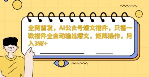 全网首发，AI公众号爆文插件，只需一款插件全自动输出爆文，矩阵操作，月入3W+【揭秘】-大东资源库