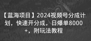 【蓝海项目】2024视频号分成计划，快速开分成，日爆单8000+，附玩法教程-大东资源库