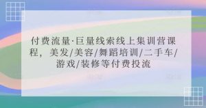 付费流量·巨量线索线上集训营课程，美发/美容/舞蹈培训/二手车/游戏/装修等付费投流-大东资源库