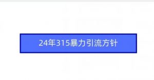 24年315暴力引流方针-大东资源库