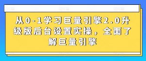 从0-1学习巨量引擎2.0升级版后台设置实操，全面了解巨量引擎-大东资源库