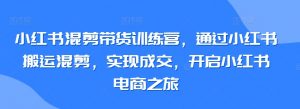 小红书混剪带货训练营,通过小红书搬运混剪,实现成交,开启小红书电商之旅-大东资源库