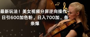 最新玩法！美女视频分屏逆向操作~日引600加色粉，日入700加，条条爆【揭秘】-大东资源库