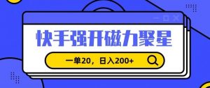 信息差赚钱项目，快手强开磁力聚星，一单20，日入200+【揭秘】-大东资源库