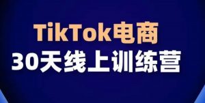 TikTok电商带货30天线上课，不可错过的全球流量洼地！-大东资源库