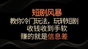 短剧风暴，教你冷门玩法，玩转短剧，收钱收到手软【揭秘】-大东资源库