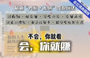 2024，“男粉+私域”还是最耐造、最赚、最轻松、最愉快的变现方式【揭秘】-大东资源库