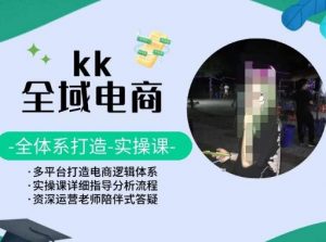 KK全域电商，全体系打造实操课，多平台打造电商逻辑体系-大东资源库