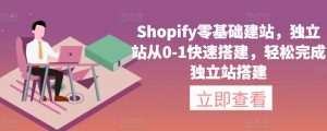 Shopify零基础建站，独立站从0-1快速搭建，轻松完成独立站搭建-大东资源库