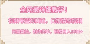 全网最详细教学，视频号蓝海赛道，口播情感视频，无需露脸，制作简单，轻松实现日入1000+【揭秘】-大东资源库