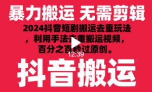 2024最新抖音搬运技术，抖音短剧视频去重，手法搬运，利用工具去重，达到秒过原创的效果【揭秘】-大东资源库