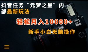 抖音任务“元梦之星”内部最新玩法，新手小白无脑操作，轻松月入10000+【揭秘】-大东资源库