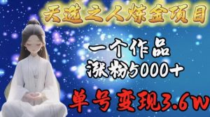 天选之人炼金项目，一个作品涨粉5000+，单号变现3.6w【揭秘】-大东资源库