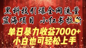 蓝海项目!黑科技引爆全网流量小红书拉新，单日暴力收益7000+，小白也能轻松上手【揭秘】-大东资源库