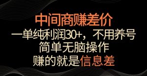 中间商赚差价，一单纯利润30+，简单无脑操作，赚的就是信息差，轻轻松松日入1000+【揭秘】-大东资源库