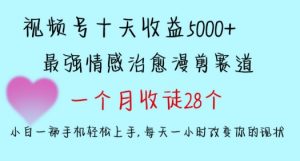十天收益5000+，多平台捞金，视频号情感治愈漫剪，一个月收徒28个，小白一部手机轻松上手【揭秘】-大东资源库