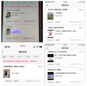 2024年3月最新，快手磁力聚星全流程实操教学，8台手机日均收益稳定100~200元【揭秘】-大东资源库