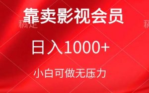 靠卖影视会员，日入1000+，落地保姆级教程，新手可学【揭秘】-大东资源库