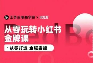 王导主·小红书电商运营实操课，​从零打造  全程实操-大东资源库