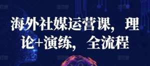 海外社媒运营课，理论+演练，全流程-大东资源库