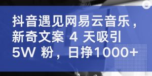 抖音遇见网易云音乐，新奇文案 4 天吸引 5W 粉，日挣1000+【揭秘】-大东资源库