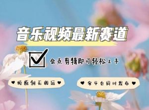 音乐视频赛道最新玩法，纯原创不违规，可所有平台同时发布，会点剪辑即可轻松拿捏【揭秘】-大东资源库