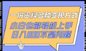 一份资料多种变现方式，小白也能轻松上手，日入800不是问题【揭秘】-大东资源库