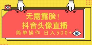 无需露脸，Ai头像直播项目，简单操作日入500+【揭秘】-大东资源库