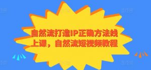 自然流打造IP正确方法线上课，自然流短视频教程-大东资源库