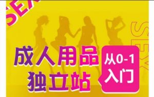 成人用品独立站从0-1入门，成品独立站运营全流程教学，七大好卖成品独立站推荐-大东资源库