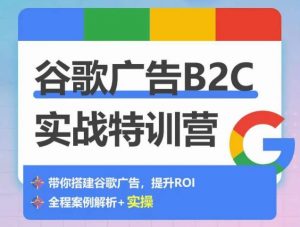 谷歌广告B2C实战特训营，500+谷歌账户总结经验，实战演示如何从0-1搭建广告账户-大东资源库