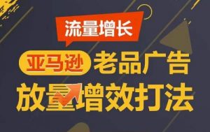 流量增长 亚马逊老品广告放量增效打法，短期内广告销量翻倍-大东资源库