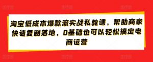 淘宝低成本爆款流实战私教课，帮助商家快速复制落地，0基础也可以轻松搞定电商运营-大东资源库