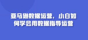 亚马逊数据运营，小白如何学会用数据指导运营-大东资源库