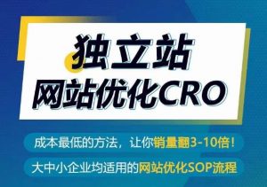 独立站网站优化CRO，成本最低的方法，让你销量翻3-10倍-大东资源库