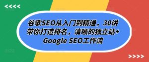 谷歌SEO从入门到精通，30讲带你打造排名，清晰的独立站+Google SEO工作流-大东资源库