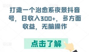 打造一个治愈系夜景抖音号，日收入300+，多方面收益，无脑操作【揭秘】-大东资源库