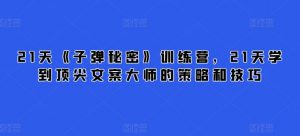 21天《子弹秘密》训练营，21天学到顶尖文案大师的策略和技巧-大东资源库