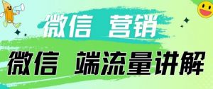 4.19日内部分享《微信营销流量端口》微信付费投流【揭秘】-大东资源库