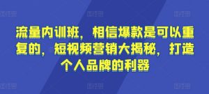 流量内训班，相信爆款是可以重复的，短视频营销大揭秘，打造个人品牌的利器-大东资源库