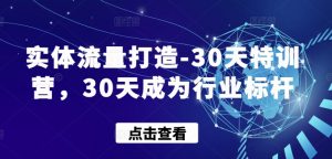 实体流量打造-30天特训营，30天成为行业标杆-大东资源库